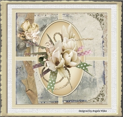 Cream Orchid