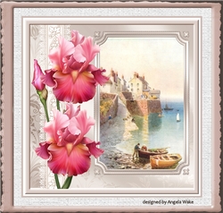 Pink Iris