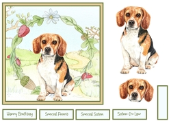 The Beagle dog