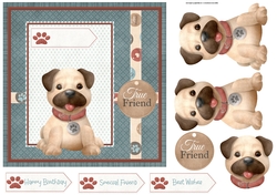 Oliver the puppy 7x7