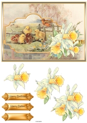Daffodils and Easter chicks A5 card
