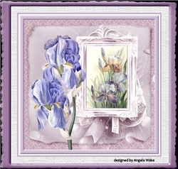 Lilac iris 7x7 card