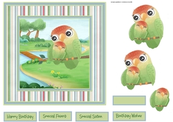 Cute cartoon birds 7x7 card