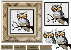 Night owl 7x7 card
