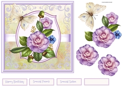 Camelia in bloom 7x7 card