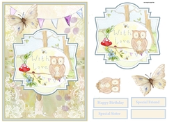 Owl and the butterflyA5 card