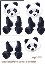 Panda Baby