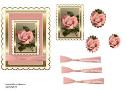 A Single English Rose