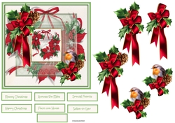 Red poinsettia and robin 6x6 card