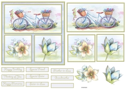 Bicycle and flowers 6x6 card