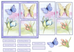 Butterfly and flowers 6x6 card 