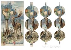 What Direction I Wonder, the Reindeer is Lost