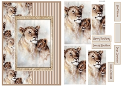 Lion and cub A5 card