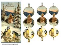 Songbirds in the Snow