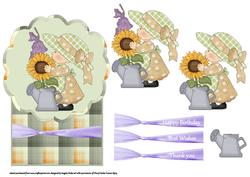 Sunflower and Gladiolas for Watering