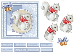 Winter squirrel 6x6