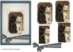 Black and White Kittens