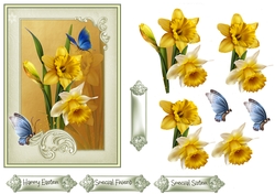 Spring Daffodils 5x7