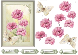 Pink Poppy and butterfly 5x7