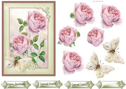 Blush rose and butterfly 5x7