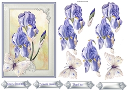 Iris and butterfly 5x7