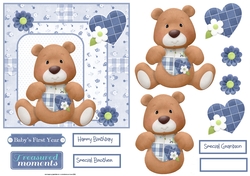 Baby boy teddy 6x6