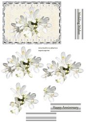 Cluster of Freesias
