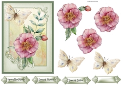 Wild rose 5x7
