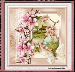 Cherry blossom 7x7