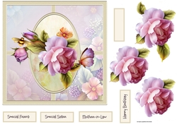English rose 7x7