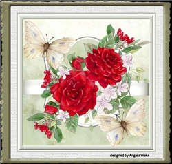 Red Anniversary rose 7x7