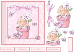 Baby girl in a flower pot 7x7