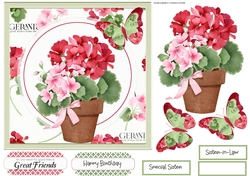Geraniums and butterfly 7x7