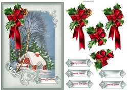 House and holly A5