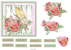 Wild rose and bird 6x6