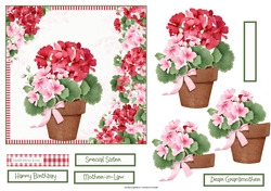 Pink Geraniums 6x6 card