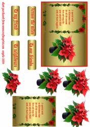Poinsettia Wish