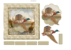 Duck in flight 6x6