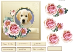 Puppy and rose 6x6