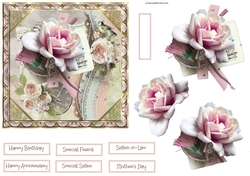 Anniversary rose 6x6
