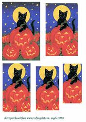 Cat and Pumpkin