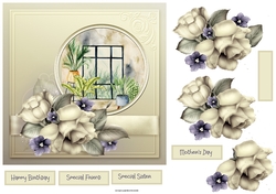 Flowers and room view 7x7