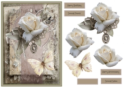 White rose and butterfly A5