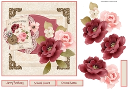 Olivia rose 7x7