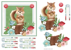 Squirrel in the forest 6x6