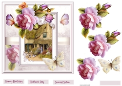 Feeding the doves 7x7