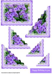 Abundance of Flowers