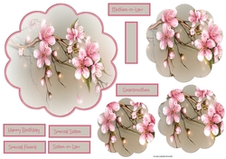Cherry blossom scallop