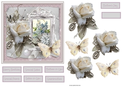 White rose and butterfly 6x6