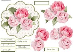 Rose scallop card